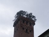 Chianti-2 2016 - 341.jpg